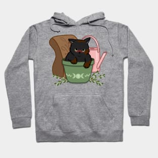 Naughty black cat Hoodie